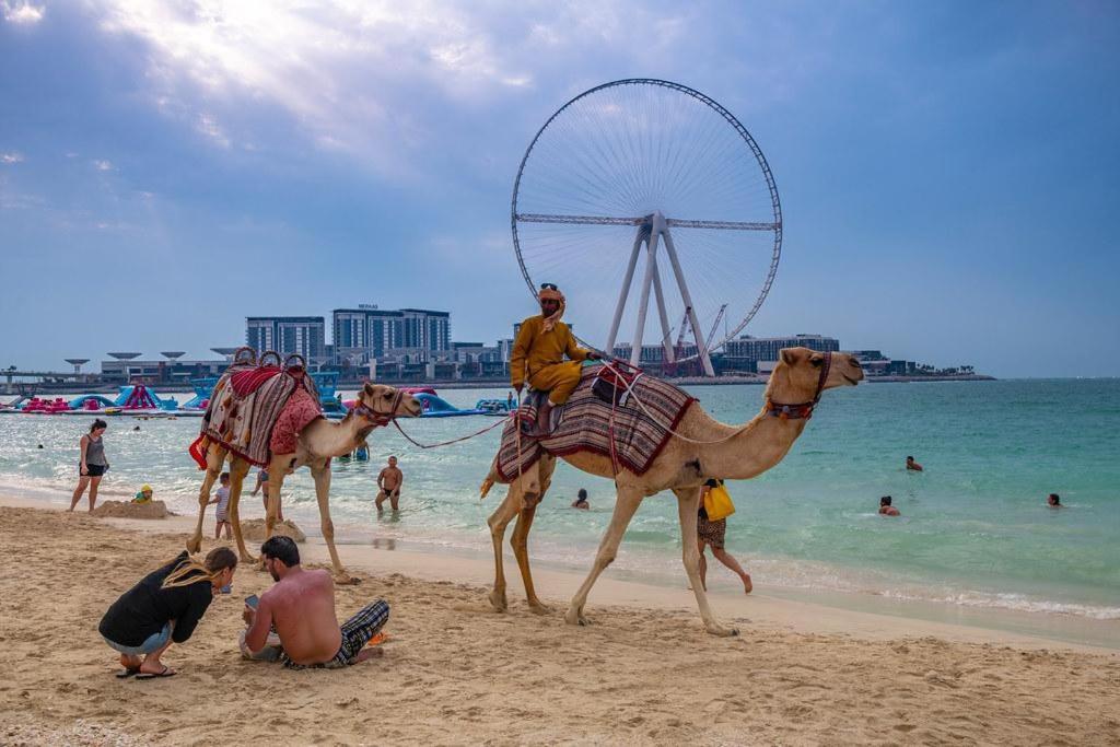 Success Luxury Apartment - 5 Min Away Marina Corniche - Free Housekeeping Provided Everyday-24-7 Staff Available For Services Dubai Eksteriør bilde